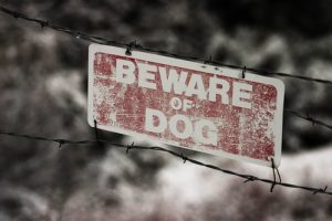 beware of dog sign