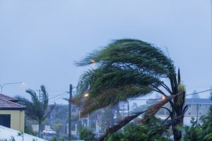 hurricane damage claim